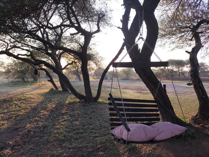 Little Dinokeng Bush Lodge, Tree, Plant, Nature, Wood