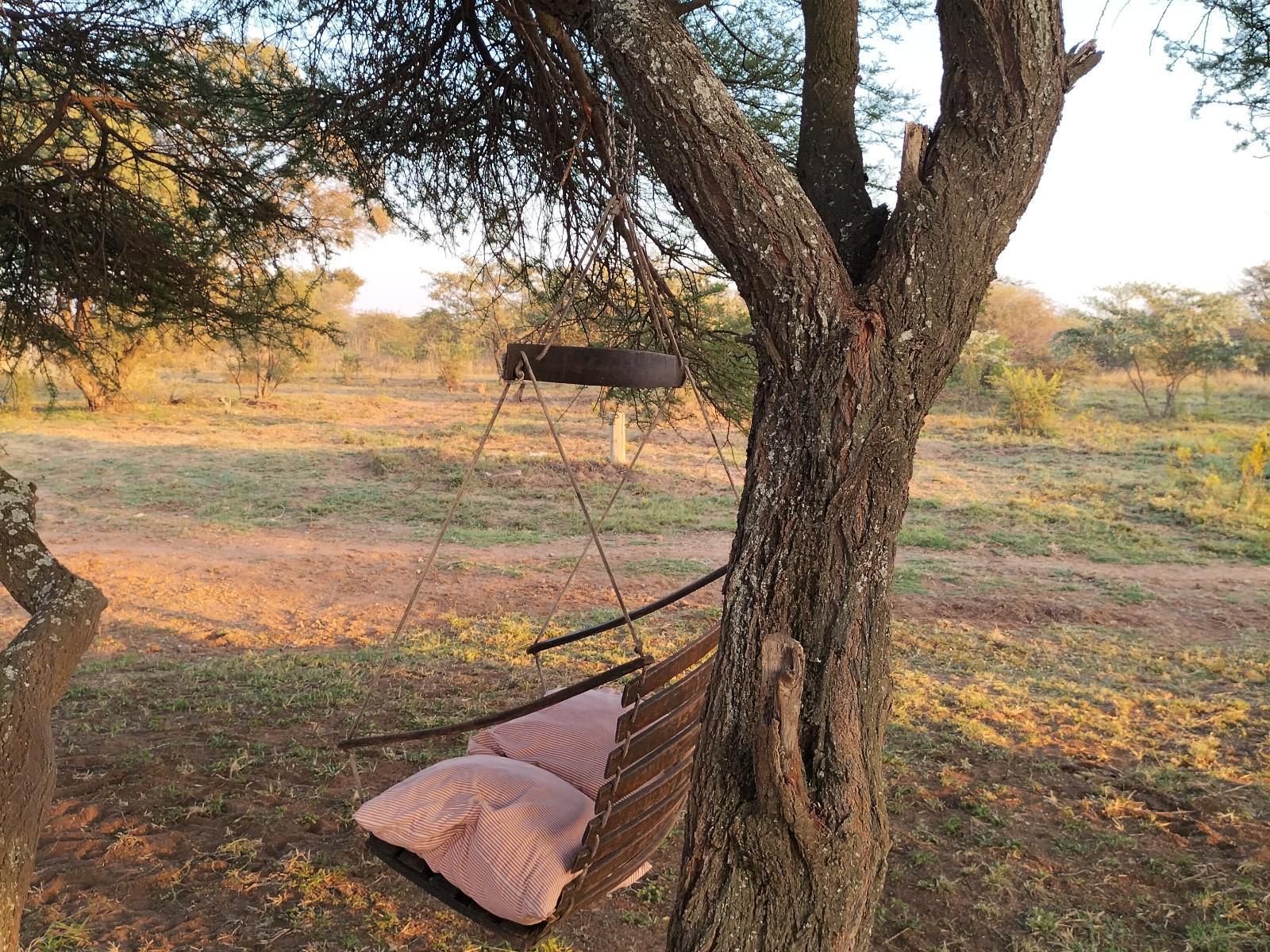 Little Dinokeng Bush Lodge, Tree, Plant, Nature, Wood