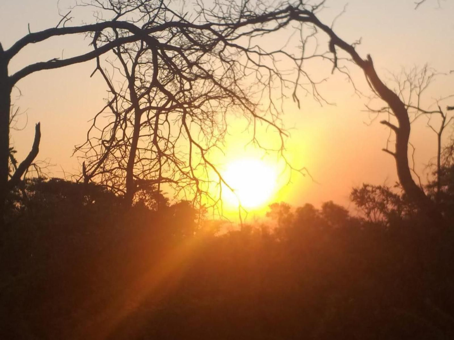 Little Dinokeng Bush Lodge, Sepia Tones, Sky, Nature, Sunset