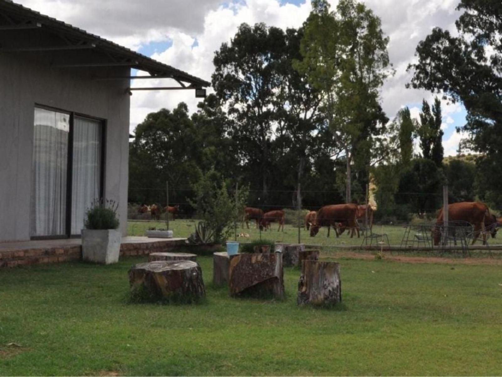 Little Farms Colesberg Northern Cape South Africa 