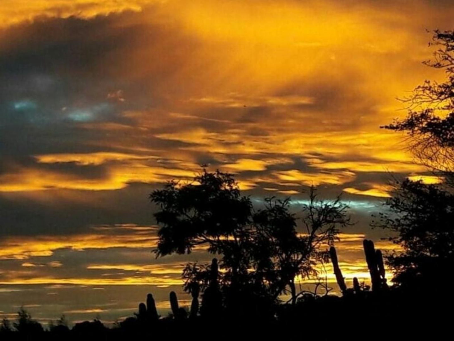 Little Forest Farm Maanhaarrand North West Province South Africa Sky, Nature, Clouds, Sunset