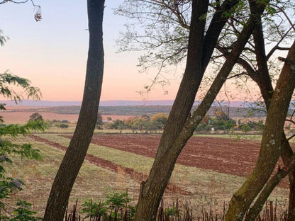 Little Forest Farm Maanhaarrand North West Province South Africa Field, Nature, Agriculture, Lowland