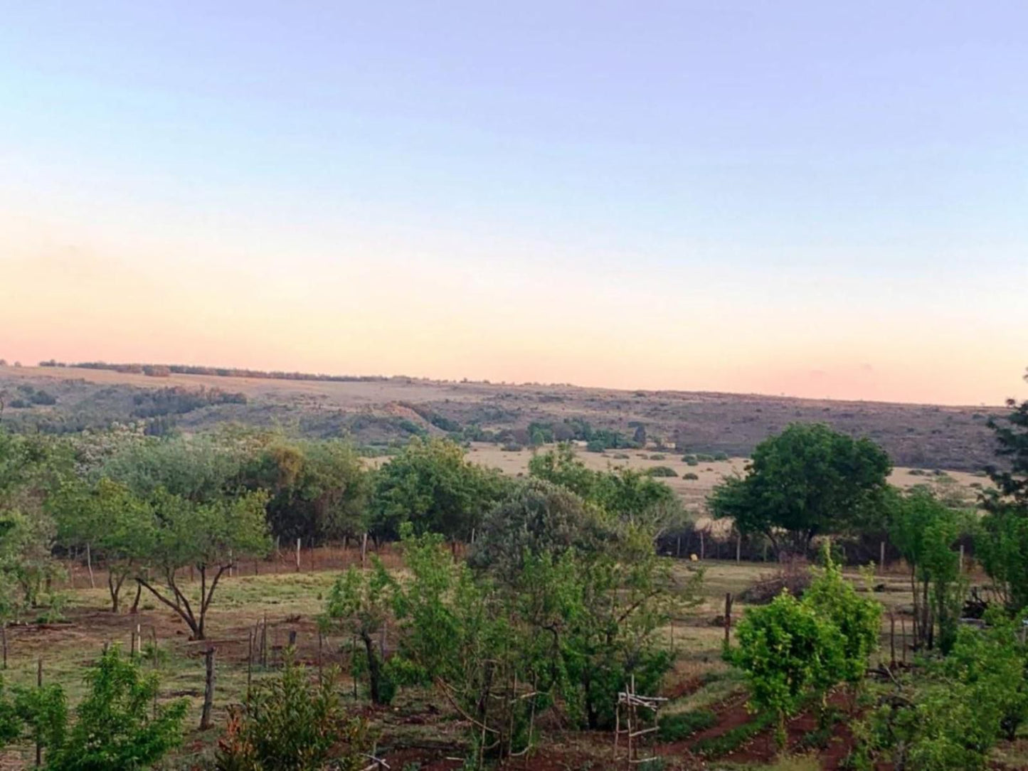 Little Forest Farm Maanhaarrand North West Province South Africa Complementary Colors, Lowland, Nature