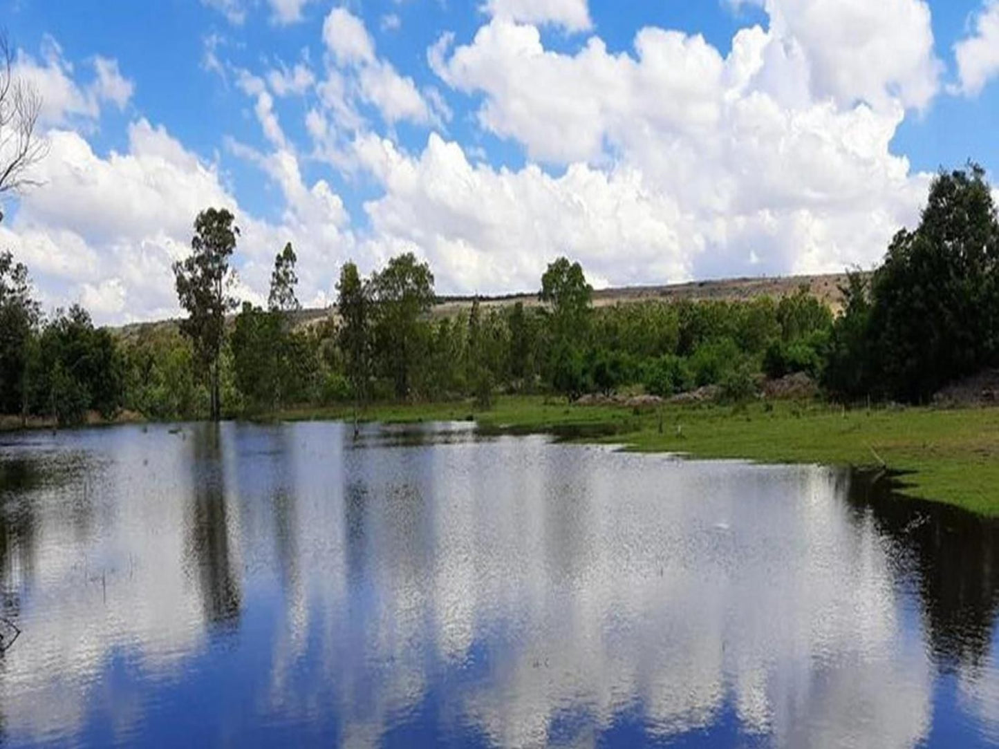 Little Forest Farm Maanhaarrand North West Province South Africa River, Nature, Waters