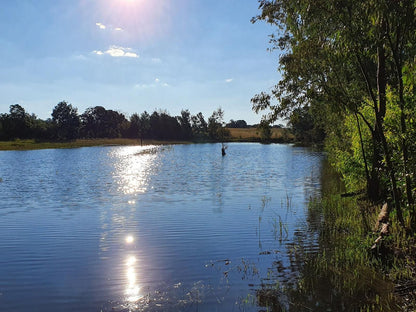 Little Forest Farm Maanhaarrand North West Province South Africa River, Nature, Waters