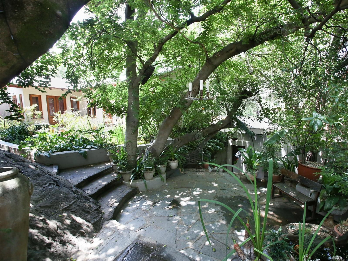 Little Forest Guest House, Boat, Vehicle, Plant, Nature, River, Waters, Tree, Wood, Garden