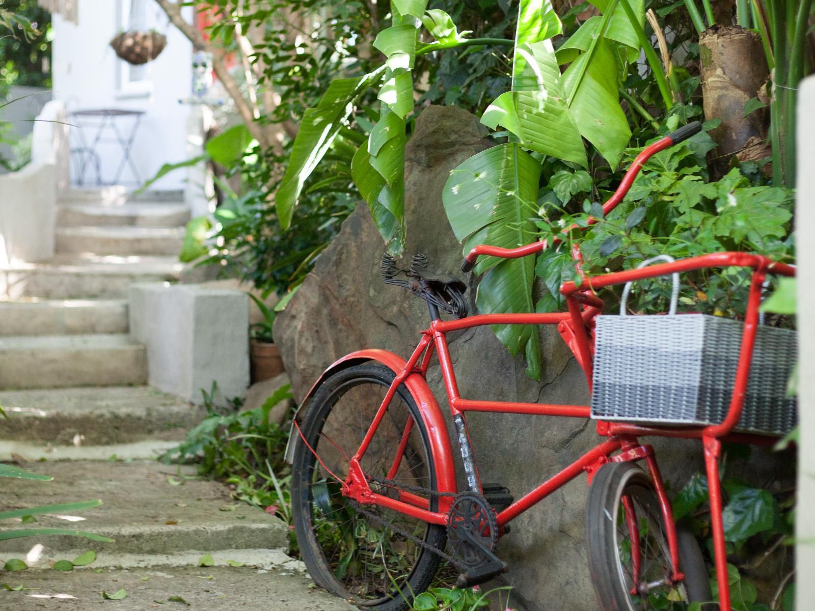 Little Forest Guest House, Bicycle, Vehicle