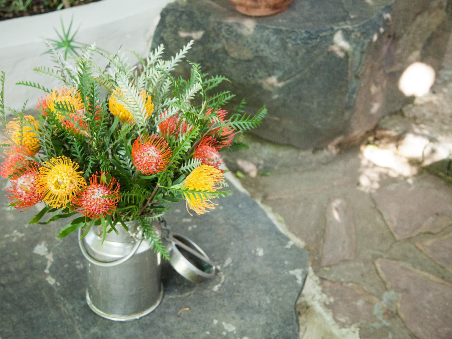 Little Forest Guest House, Bouquet of Flowers, Flower, Plant, Nature