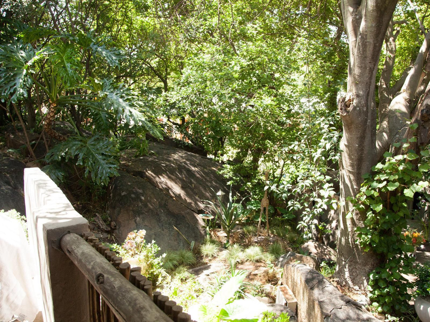 Little Forest Guest House, Plant, Nature, Tree, Wood, Waterfall, Waters, Garden