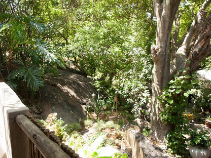 Little Forest Guest House, Forest, Nature, Plant, Tree, Wood, Waterfall, Waters, Garden