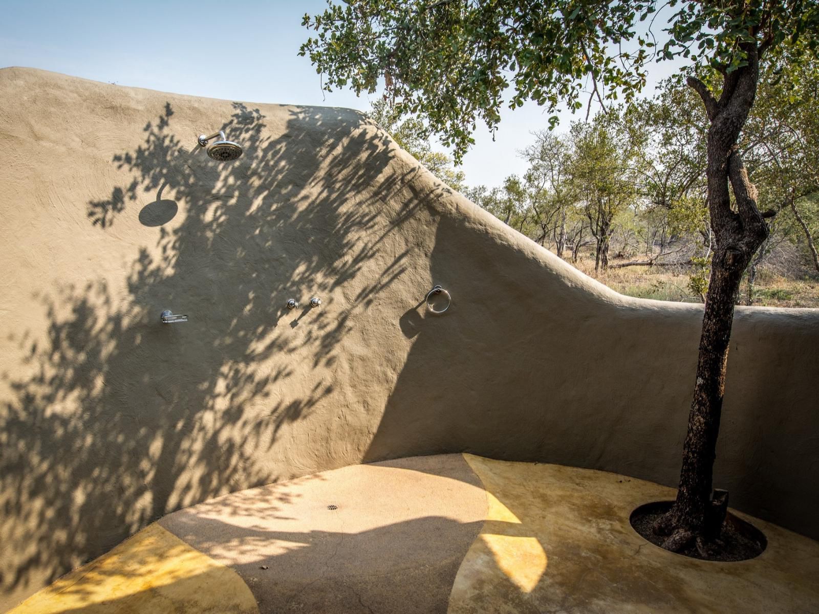 Little Garonga Gravelotte Limpopo Province South Africa Desert, Nature, Sand, Framing