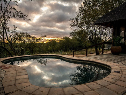 Little Garonga Gravelotte Limpopo Province South Africa Swimming Pool