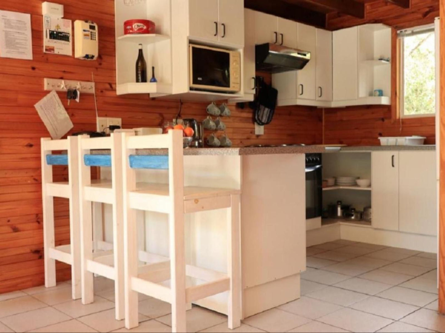 Little Haven 10 And 12 Meerenbosch Fisherhaven Western Cape South Africa Kitchen