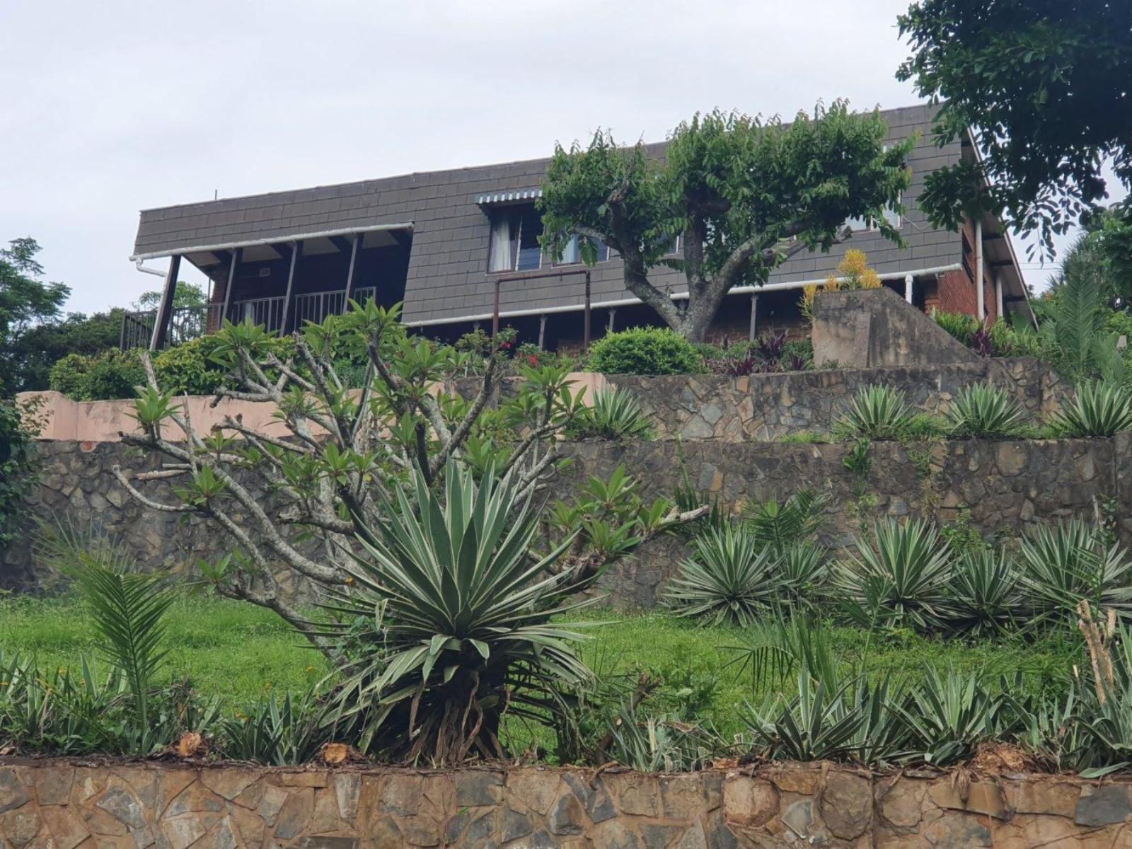 Little Swift Sea Cottage Freeland Park Scottburgh Kwazulu Natal South Africa Palm Tree, Plant, Nature, Wood, Garden