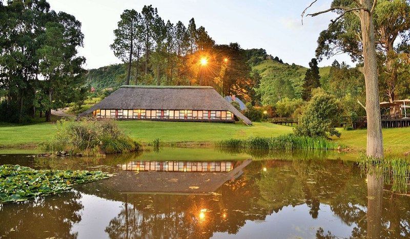 Little Switzerland Hotel By Dream Resorts Poccolan Nature Reserve Kwazulu Natal South Africa Tree, Plant, Nature, Wood, Highland