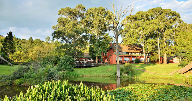 Little Switzerland Hotel By Dream Resorts Poccolan Nature Reserve Kwazulu Natal South Africa Garden, Nature, Plant