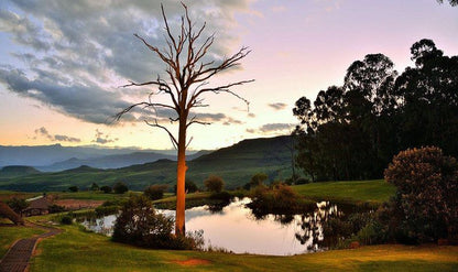 Little Switzerland Hotel By Dream Resorts Poccolan Nature Reserve Kwazulu Natal South Africa Tree, Plant, Nature, Wood, Golfing, Ball Game, Sport