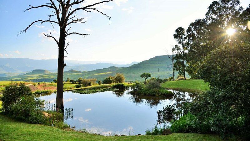 Little Switzerland Hotel By Dream Resorts Poccolan Nature Reserve Kwazulu Natal South Africa Complementary Colors, Lake, Nature, Waters, Tree, Plant, Wood, Garden, Highland