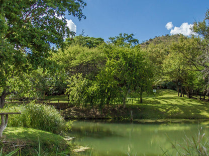 Little Bush Private Lodge Hoedspruit Limpopo Province South Africa River, Nature, Waters, Tree, Plant, Wood, Garden