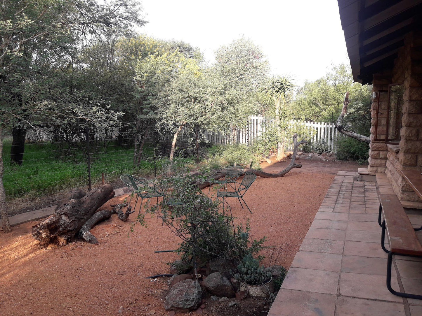 Littlebushveld Guesthouse Bon Accord Pretoria Tshwane Gauteng South Africa Plant, Nature, Garden