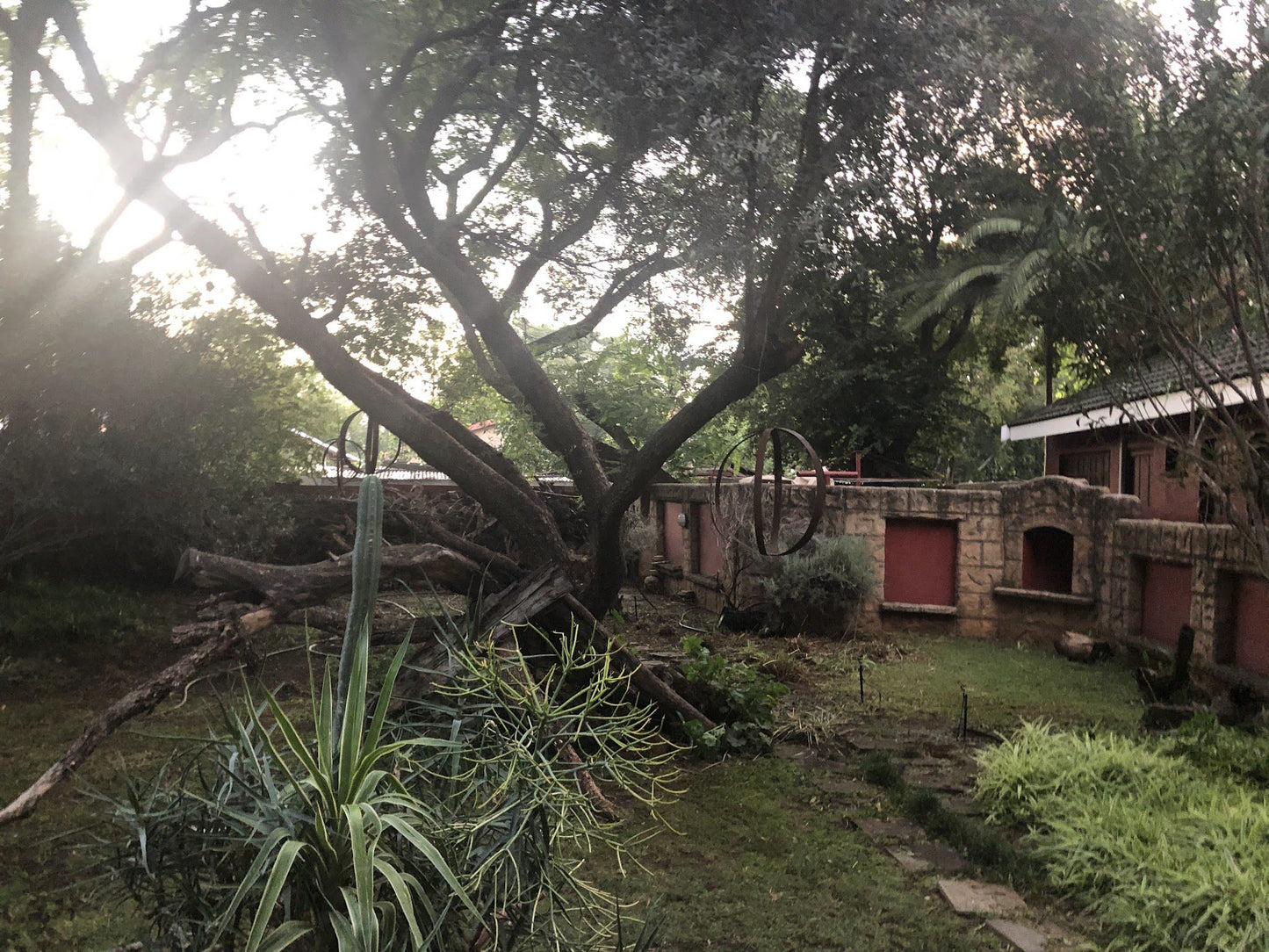 Little Dreams Guest House Lichtenburg North West Province South Africa Palm Tree, Plant, Nature, Wood, Ruin, Architecture, Tree
