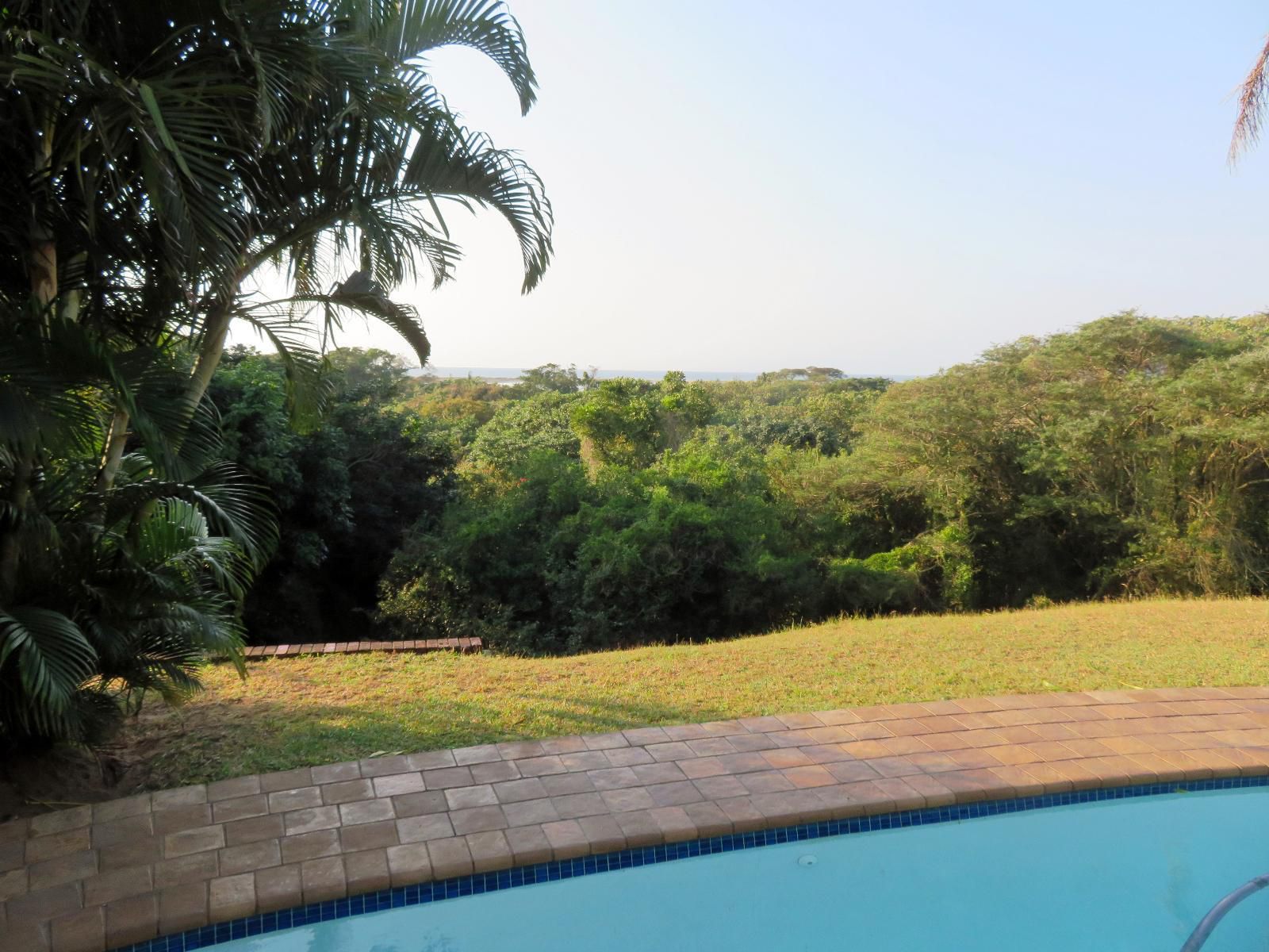 Little Eden St Lucia St Lucia Kwazulu Natal South Africa Complementary Colors, Palm Tree, Plant, Nature, Wood, Swimming Pool