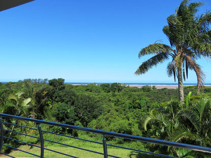 Little Eden St Lucia St Lucia Kwazulu Natal South Africa Complementary Colors, Beach, Nature, Sand, Palm Tree, Plant, Wood