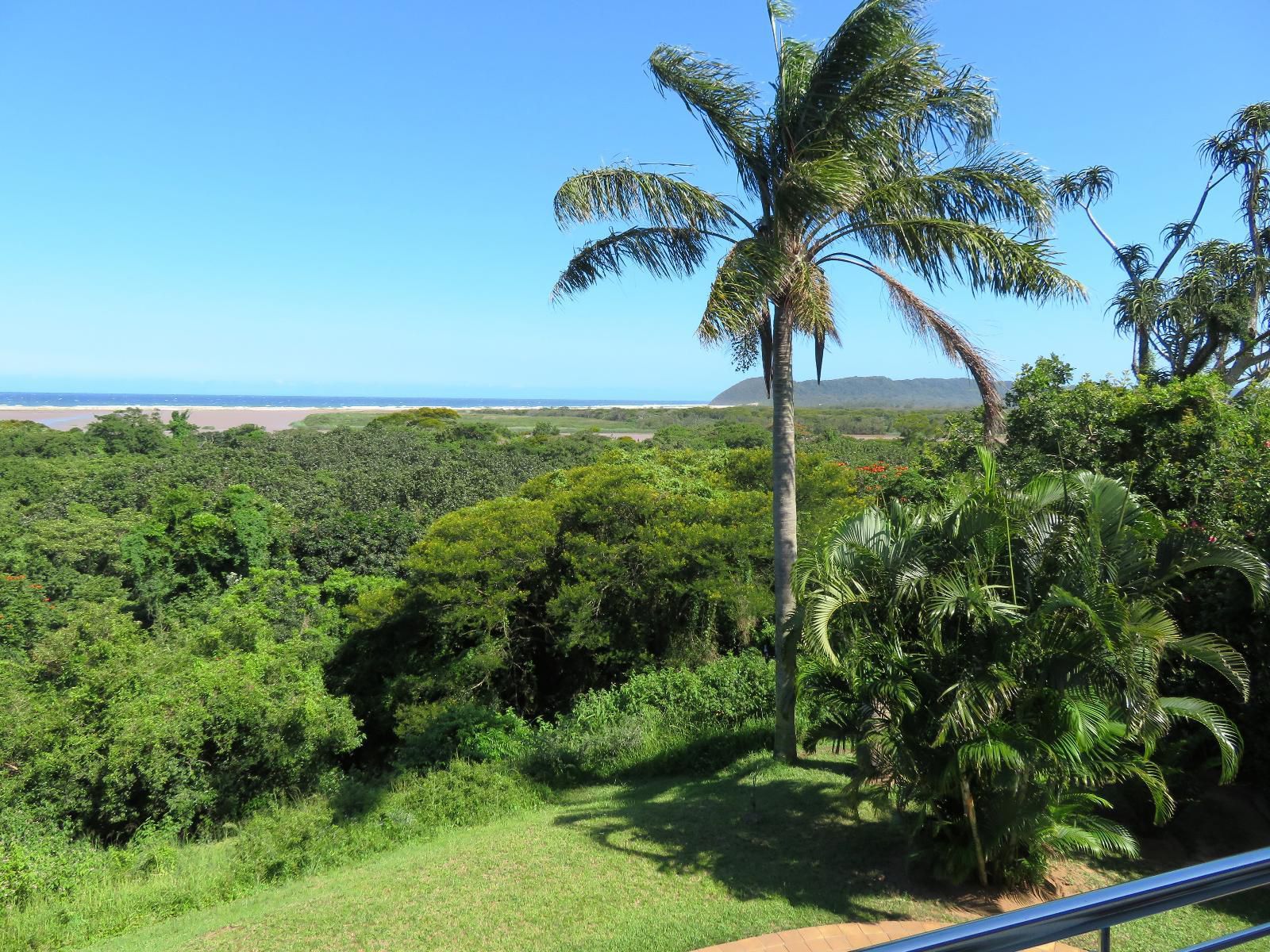 Little Eden St Lucia St Lucia Kwazulu Natal South Africa Complementary Colors, Beach, Nature, Sand, Palm Tree, Plant, Wood