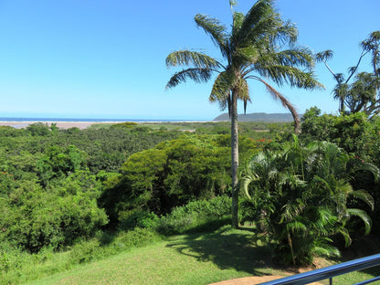 Little Eden St Lucia St Lucia Kwazulu Natal South Africa Complementary Colors, Beach, Nature, Sand, Palm Tree, Plant, Wood