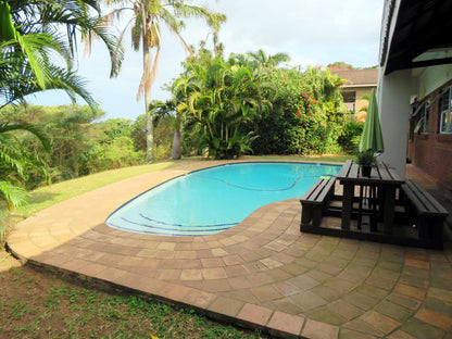 Little Eden St Lucia St Lucia Kwazulu Natal South Africa Palm Tree, Plant, Nature, Wood, Swimming Pool