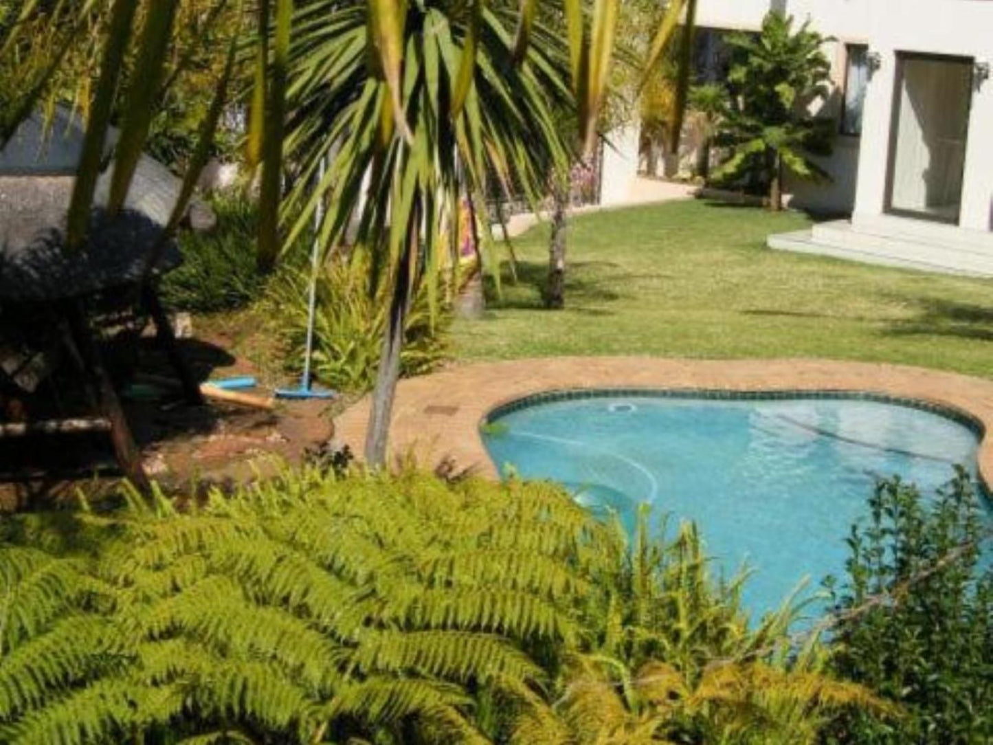 Littlefields Luxury Suite Olivedale Johannesburg Gauteng South Africa Palm Tree, Plant, Nature, Wood, Garden, Swimming Pool