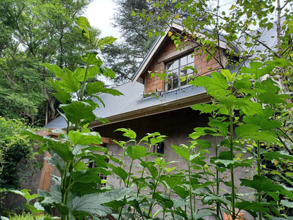 Little Fields Country House Howick Kwazulu Natal South Africa House, Building, Architecture, Tree, Plant, Nature, Wood