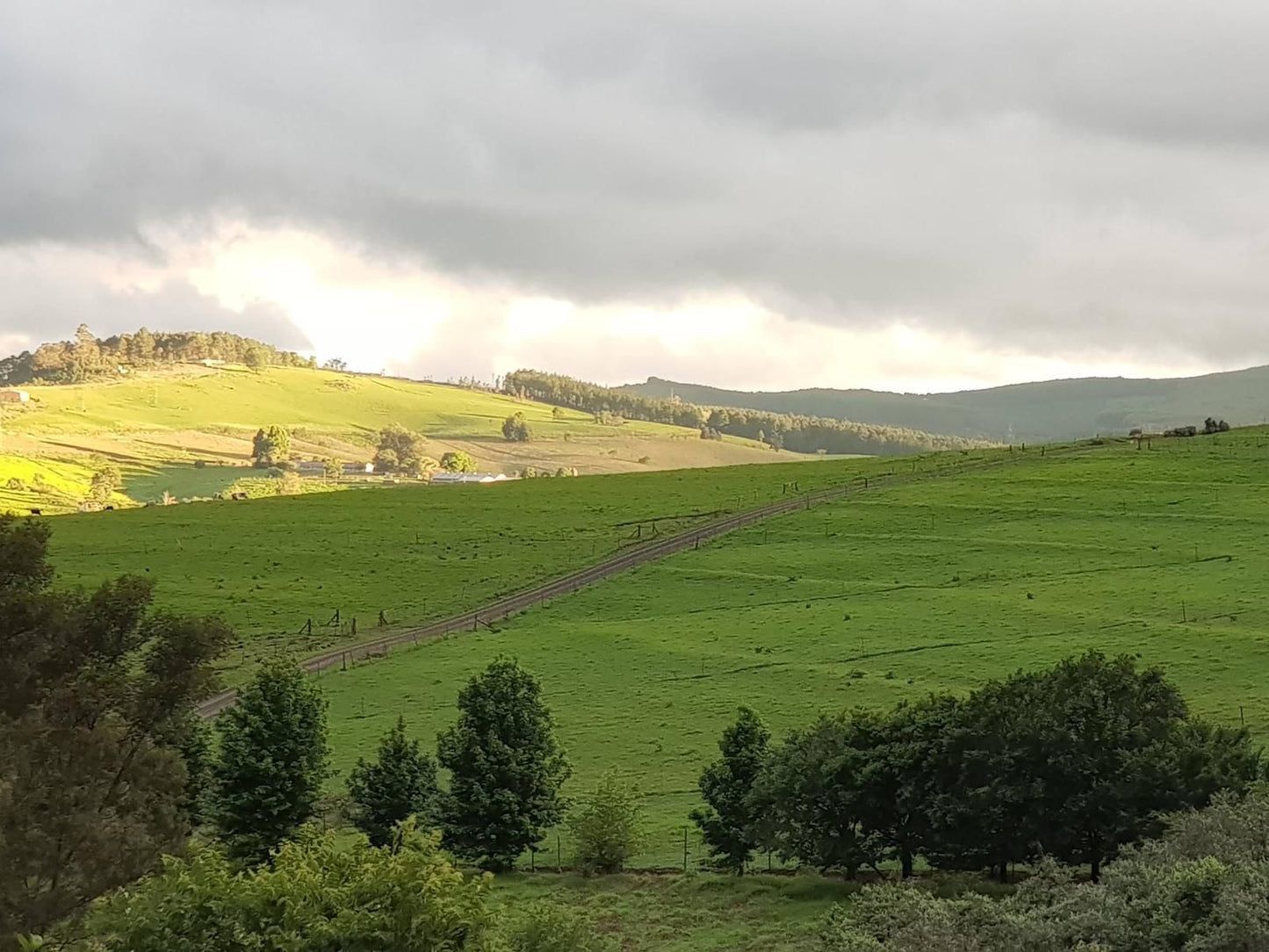 Little Fields Country House Howick Kwazulu Natal South Africa Highland, Nature