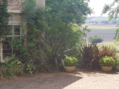 Little Fields Country House Howick Kwazulu Natal South Africa Palm Tree, Plant, Nature, Wood, Garden