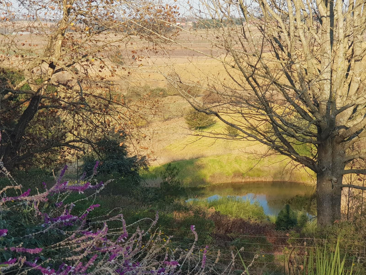 Little Fields Country House Howick Kwazulu Natal South Africa Nature