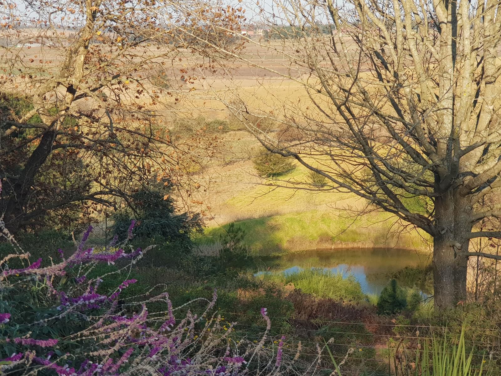 Little Fields Country House Howick Kwazulu Natal South Africa Nature