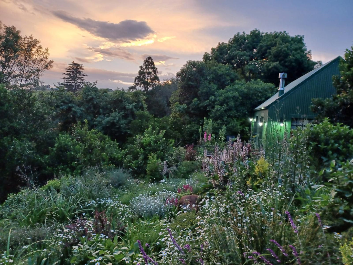 Little Fields Country House Howick Kwazulu Natal South Africa Garden, Nature, Plant