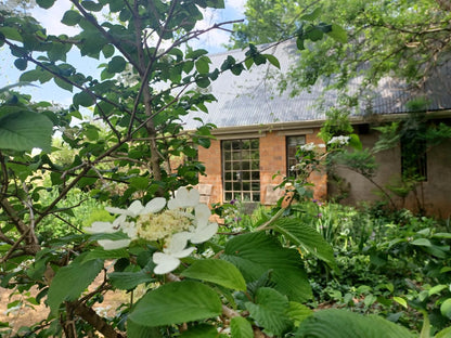 Little Fields Country House Howick Kwazulu Natal South Africa House, Building, Architecture, Plant, Nature, Garden