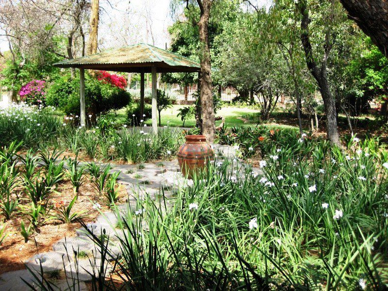 Little Five Guest House Vaalwater Limpopo Province South Africa Plant, Nature, Garden