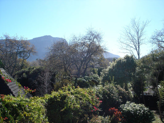 Little House Constantia Cape Town Western Cape South Africa Mountain, Nature