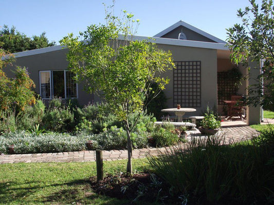 Little Louisa Colleen Glen Port Elizabeth Eastern Cape South Africa House, Building, Architecture, Garden, Nature, Plant