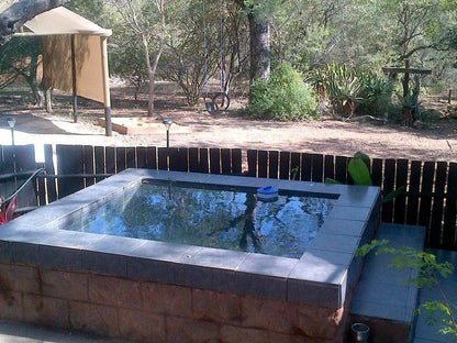 Live A Little Marloth Park Marloth Park Mpumalanga South Africa Swimming Pool