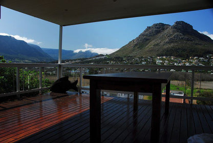 Liverpool I Hout Bay Cape Town Western Cape South Africa Mountain, Nature, Highland