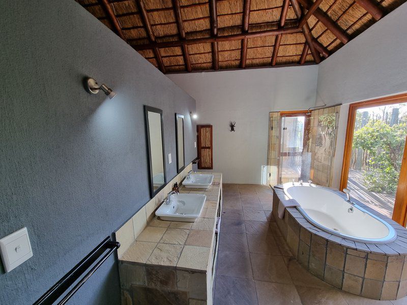 Livingstone Bush Lodge Mabalingwe Mabalingwe Nature Reserve Bela Bela Warmbaths Limpopo Province South Africa Bathroom, Swimming Pool