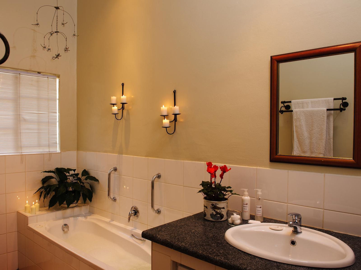 Liz At Lancaster Bandb Craighall Park Johannesburg Gauteng South Africa Sepia Tones, Bathroom