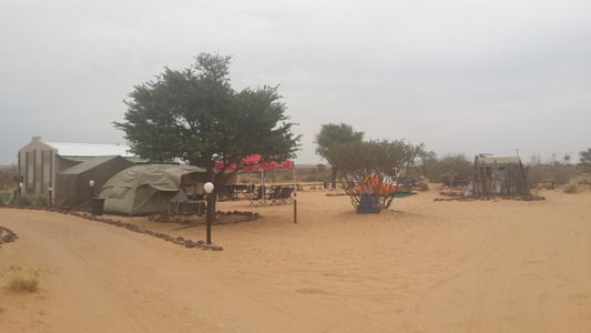 Loch Maree Guest Farm And Field Camp Upington Northern Cape South Africa Beach, Nature, Sand, Desert
