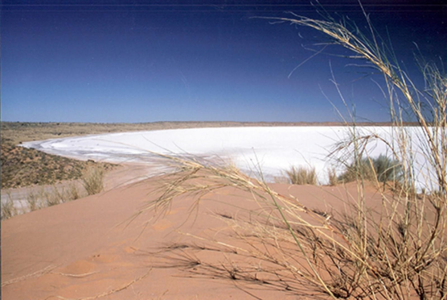 Loch Maree Guest Farm And Field Camp Upington Northern Cape South Africa Complementary Colors, Desert, Nature, Sand