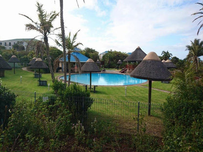 Lodge 93 - Pinnacle Point Estate, Palm Tree, Plant, Nature, Wood, Swimming Pool