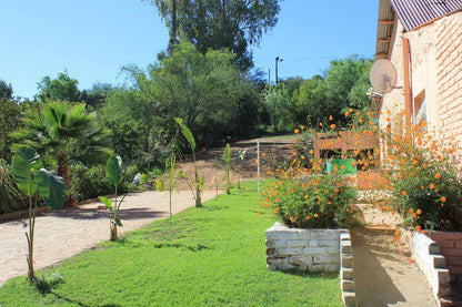 Lodge 96 Oudtshoorn Western Cape South Africa Complementary Colors, Palm Tree, Plant, Nature, Wood, Garden