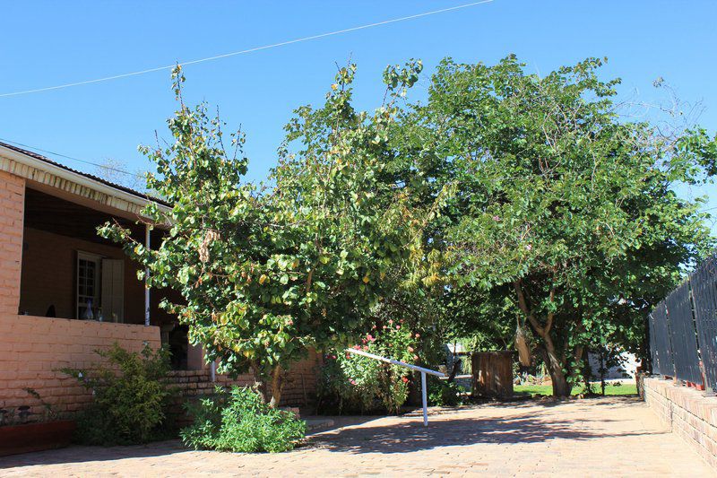 Lodge 96 Oudtshoorn Western Cape South Africa Complementary Colors, Plant, Nature, Tree, Wood, Garden